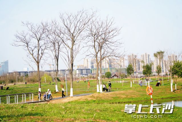 26日，长沙最高气温已经飙升至34℃左右。 均为长沙晚报全媒体记者 舒元臻 摄