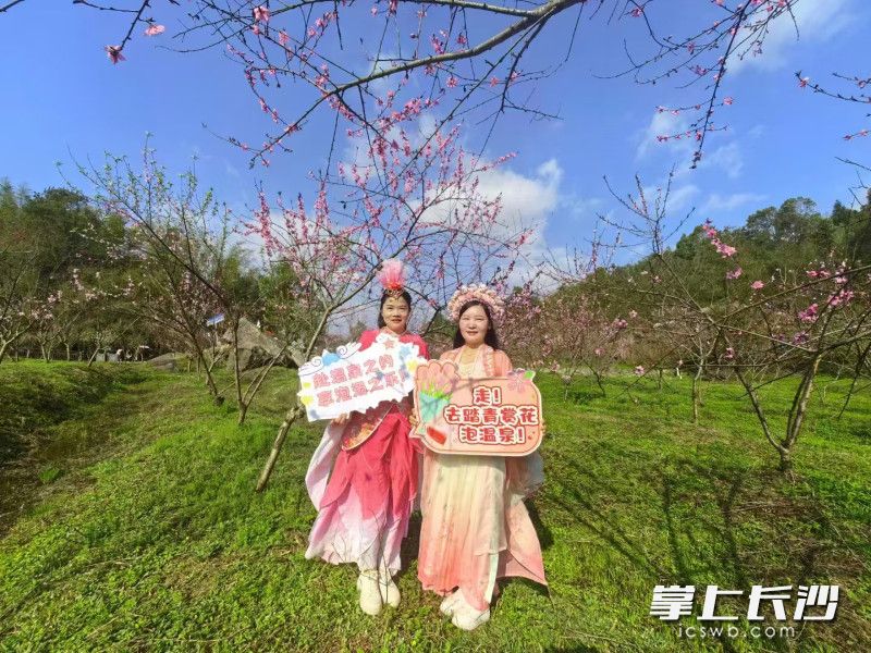 灰汤温泉桃花季等你来打卡。均为长沙晚报通讯员 张芹 摄
