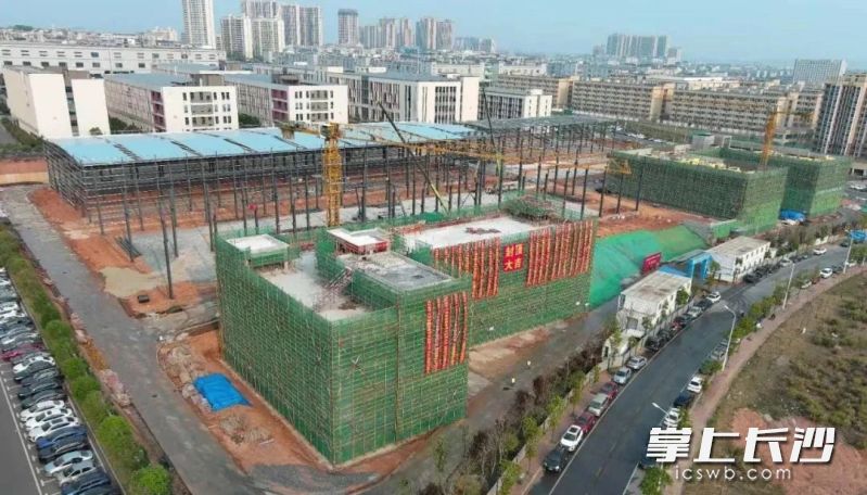 封顶现场。 园区供图
