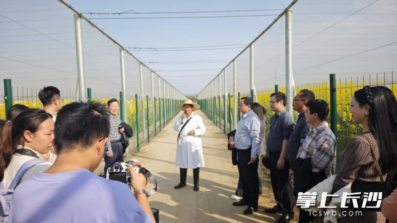 刘忠松教授给师生们讲解彩色油菜花的培育和生产原理。