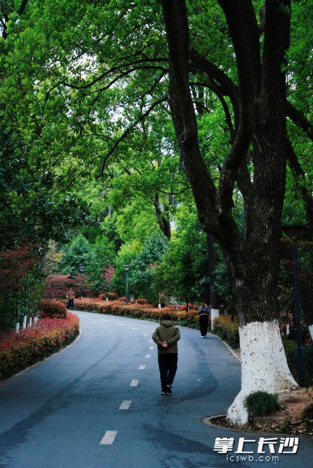 气温骤降，进行户外活动的市民相对较少。