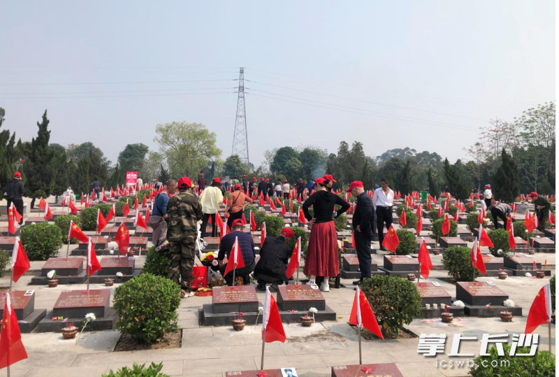 在龙州烈士陵园，烈属们为亲人祭扫。 通讯员供图