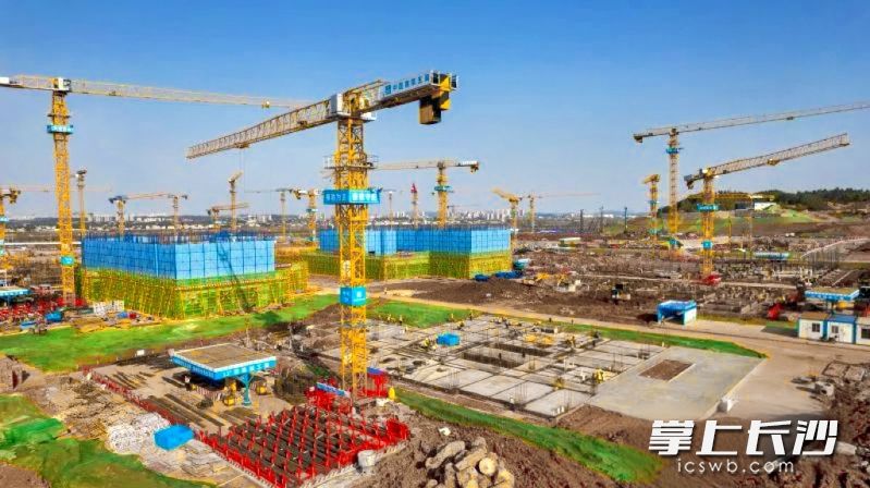 湖南大学科创港施工现场。