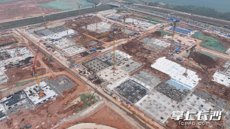 湖南大学科创港校区项目建设现场。