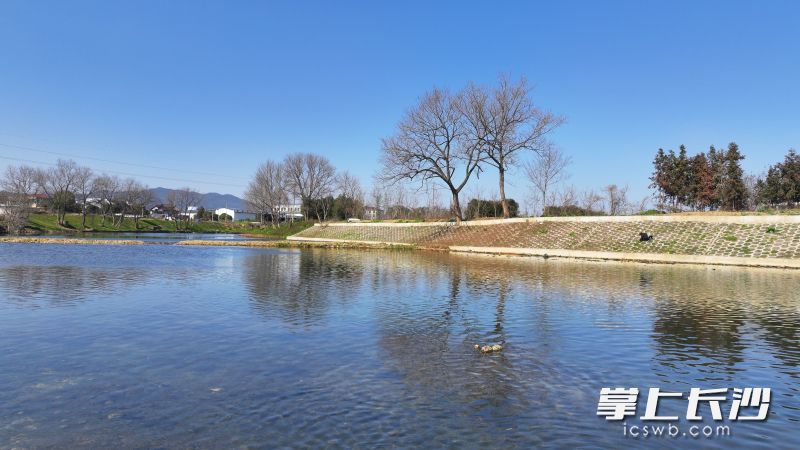 南川河大瑶段，河水清澈见底，相关治理工程已基本完工。长沙晚报通讯员 黄彪 摄