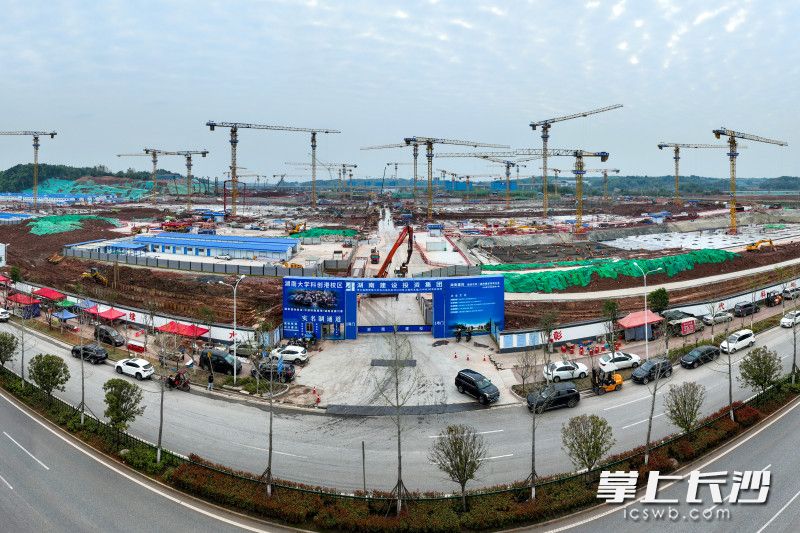 不远处，湖南大学科创港桩基施工全部完成，转入主体建设阶段。