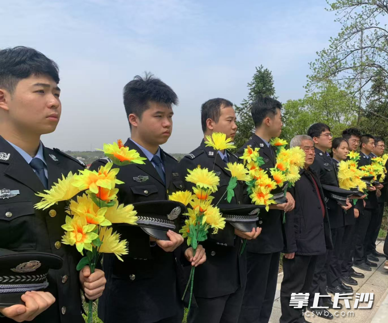 战友们在唐强墓前敬献菊花，而后深深鞠躬，致以崇高敬意。 长沙晚报全媒体记者 邓艳红 摄