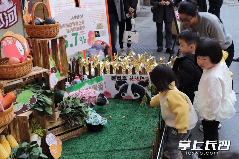 宁乡花猪肉质细嫩、味道鲜美、营养丰富，深受市场青睐。
