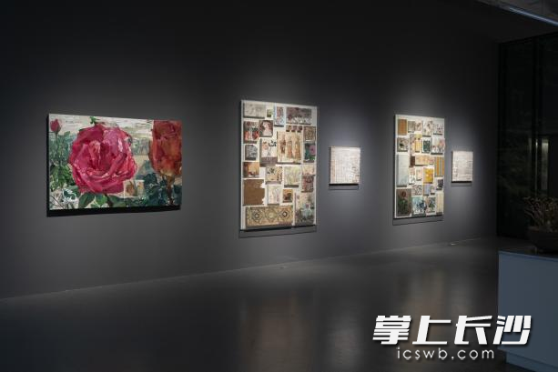罗敏植物日记展一隅。