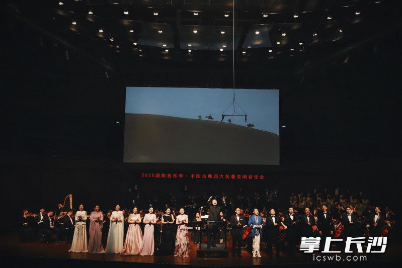 音乐会精彩一刻。均为长沙晚报通讯员 朱寒冰 供图