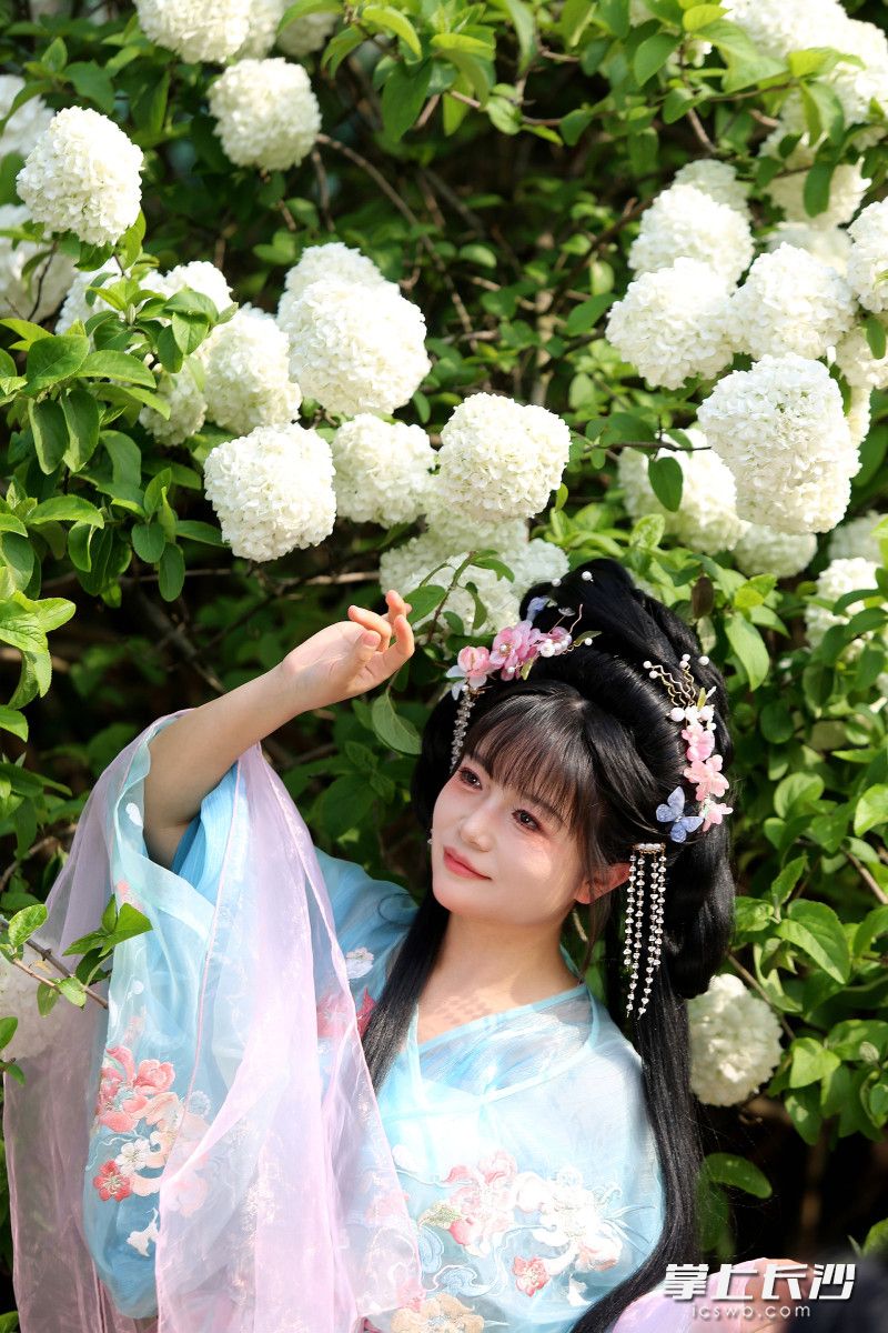 尽显古韵之美。