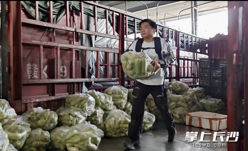 长沙黄兴海吉星国际农产品物流园搬运工人试用农业机械外骨骼。