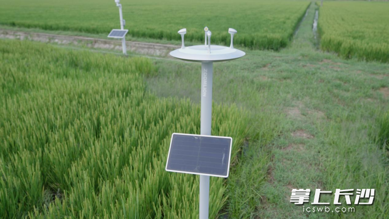 中联重科智慧农业赋能农业生产管理。 长沙晚报通讯员 李家宇 供图