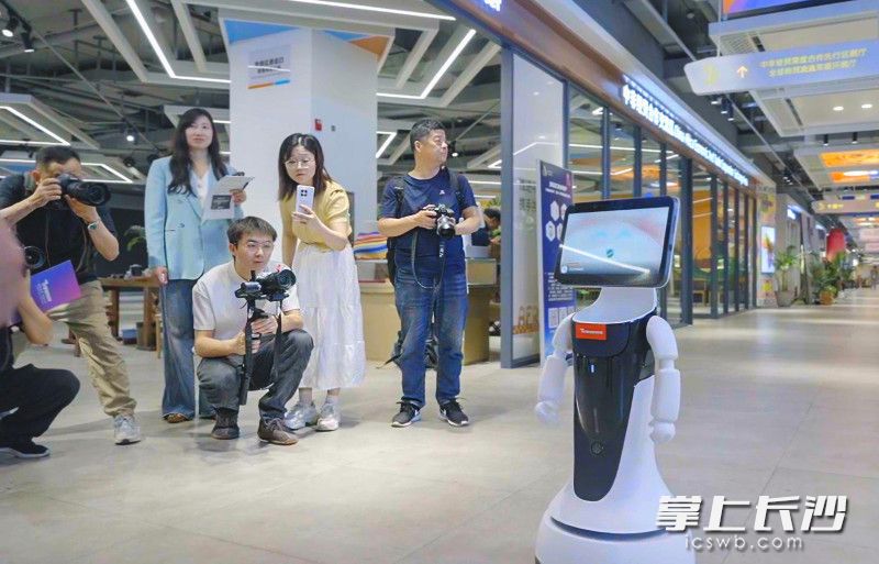 中非经贸博览会常设展馆焕新升级，引入传神语联研发的“小神”智能翻译机器人与传神翻译系统。 长沙晚报全媒体记者 陈飞 摄