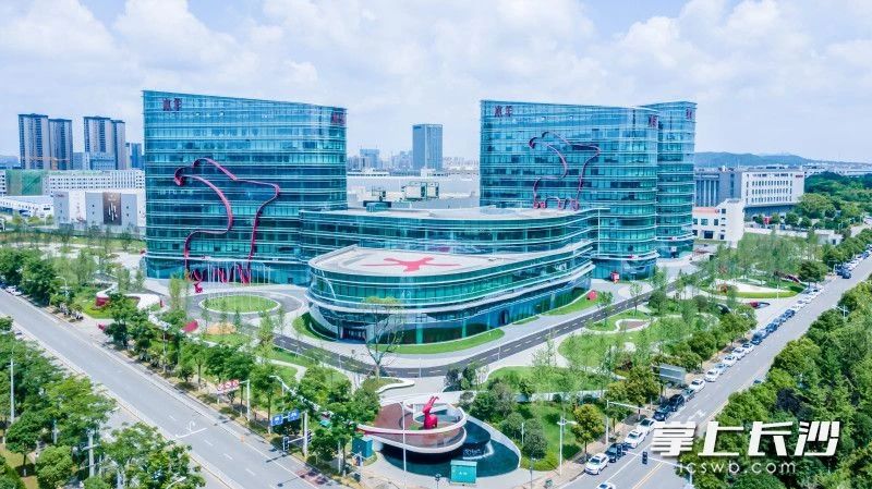 位于湖南湘江新区的水羊智能制造产业园。 企业供图