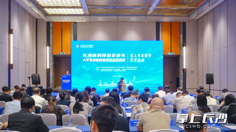 长沙市科技型企业与大学生创新创业项目融资路演暨“上市苗圃贷”发布活动现场。 均为长沙晚报全媒体记者陈飞摄