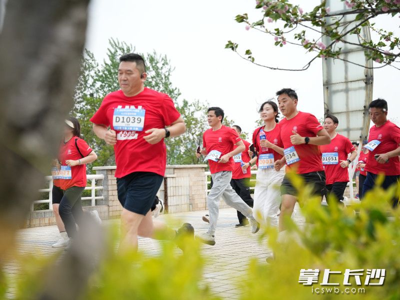 不少学生家长、校友也报名参加此次换欢乐跑。 不少学生家长、校友也报名参加此次换欢乐跑。