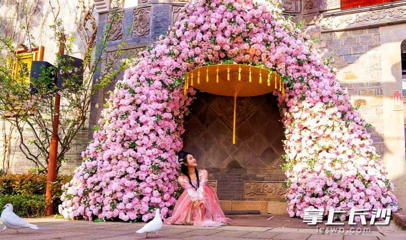 以“花”为核心，打造五大主题景观。