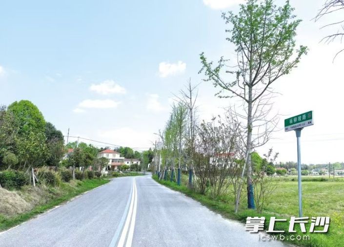 新安装的标识牌与干净整洁的乡村道路相互映衬，路牌上的二维码更实现了三大便民功能：精准导航、文化传播、应急求助。开慧镇供图