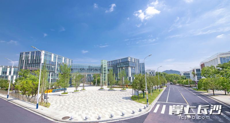 湘江科创园春景。 均为长沙晚报通讯员谢璐莎供图