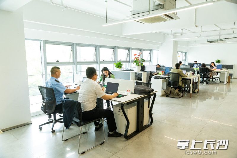 湘江新区支持大学生创业工作专班每天都很忙碌。长沙晚报全媒体记者董阳摄