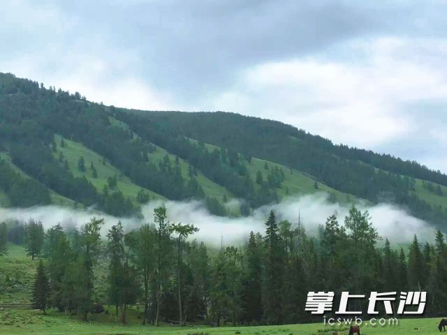 周末及时关注天气变化，合理安排生活及出行。