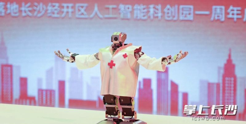 博极AI机器人。 长沙晚报通讯员 舒展 摄