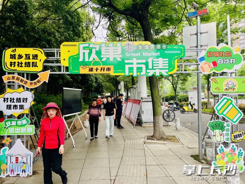 来城市中心“逢十赶集”，不出远门淘到大围山最新鲜土货。 均为长沙晚报全媒体记者 李卓 摄
