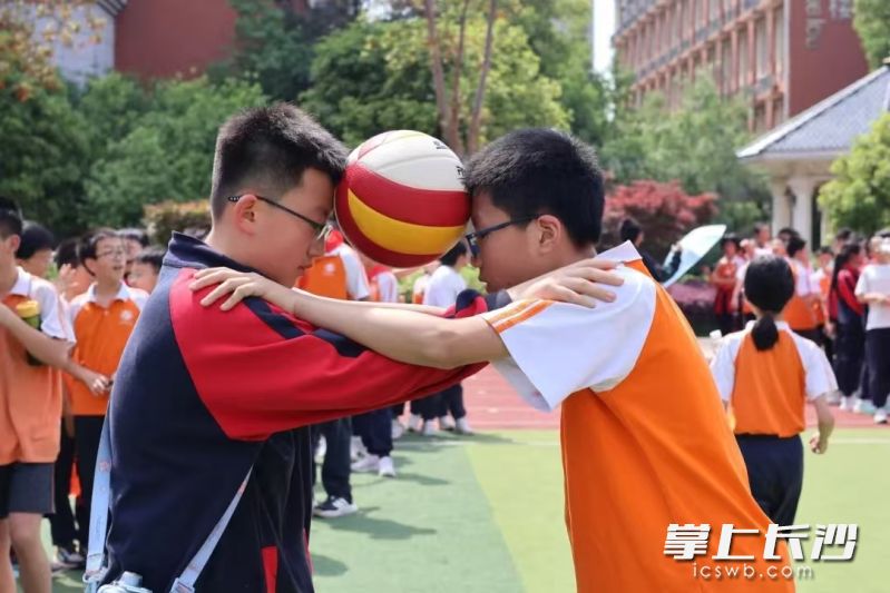 望城各中小学常态化开展各种活动，缓解学生心理压力，促进学生心理健康。