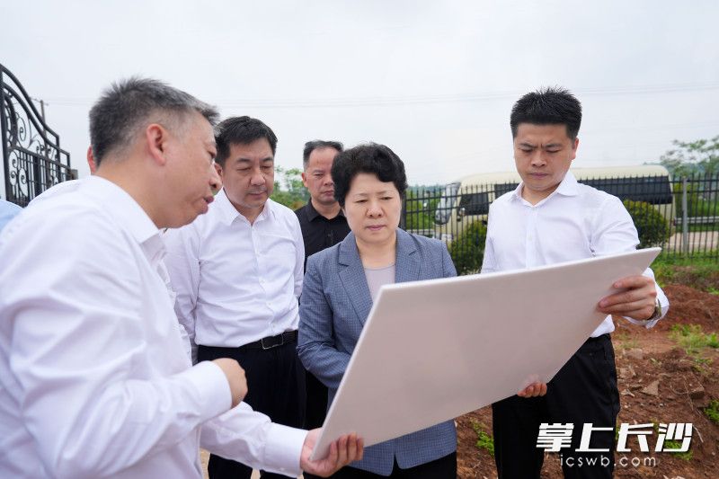 花卉园艺产业融合发展示范园项目调研现场。均为长沙晚报全媒体记者 郭雨滴 摄
