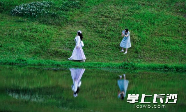 谷雨时节，春的谢幕夏的序曲，万物蓬勃生长。