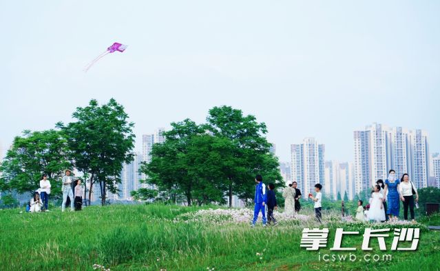 经历一轮强降水“洗刷”，长沙空气分外清新。 均为长沙晚报全媒体记者舒元臻摄