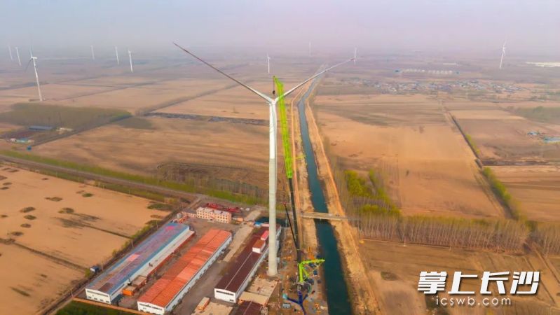 全球最大吨位全地面起重机ZAT40000H7正在吊装。 受访者供图