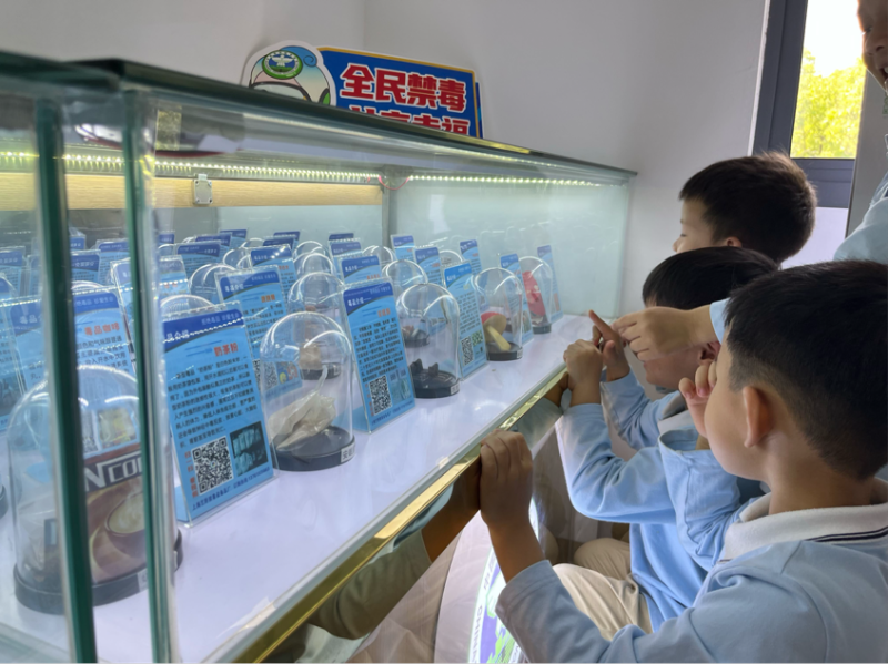 雅齐幼儿园小朋友走进金盾社区禁毒教育基地，开展禁毒教育活动。通讯员供图