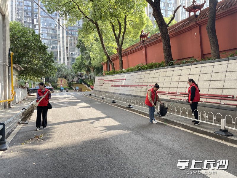 身披红色志愿马甲的党员们手持夹钳和扫把，化身“环境卫士”。