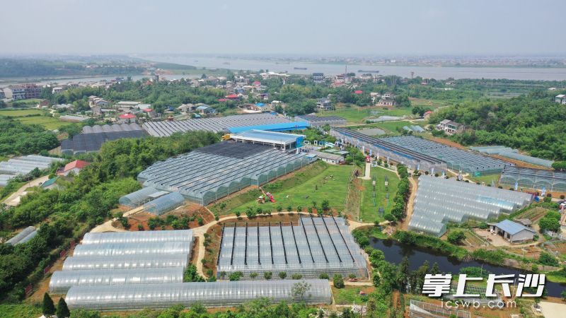 湘阴县坚持推动辣椒产业与美食文化、旅游休闲、城市品牌深度融合，打造“辣经济”新引擎，构建文旅农商融合发展新格局。