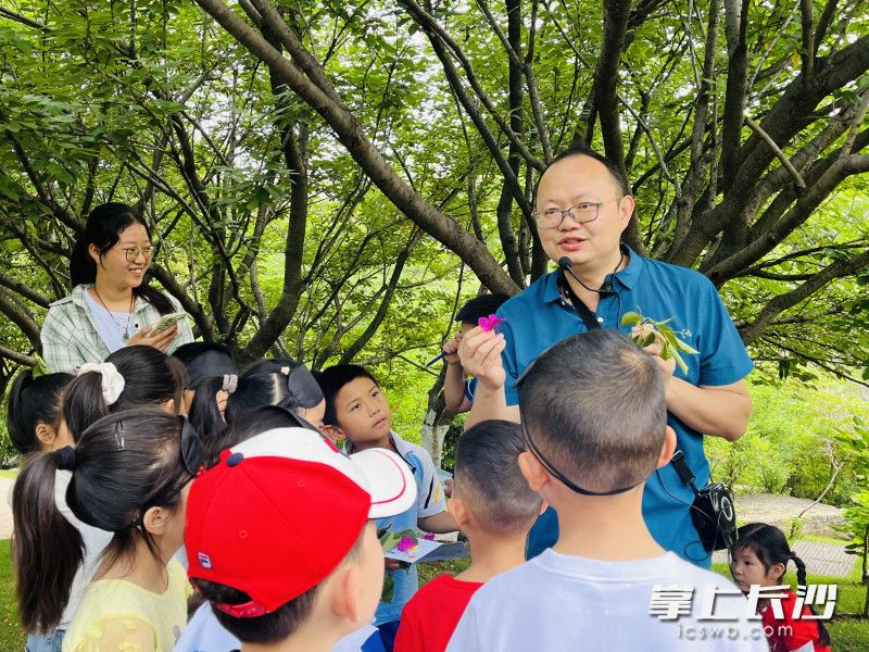 孩子们跟随范雄伟教授破解植物的科学谜题。均为长沙晚报通讯员 邹扬 供图 孩子们跟随范雄伟教授破解植物的科学谜题。均为长沙晚报通讯员 邹扬 供图