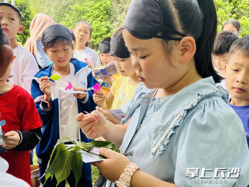 孩子们在探索。 孩子们在探索。