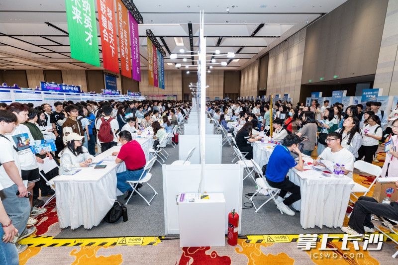 线上还提供超20万个优质岗位。均为长沙晚报全媒体记者 董阳 摄