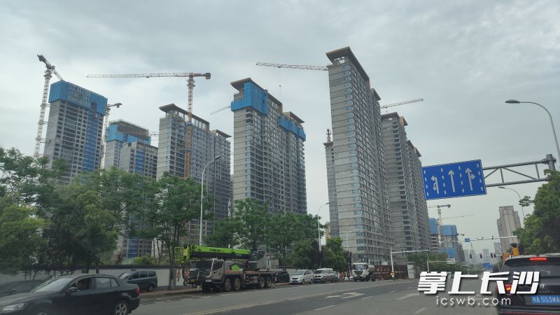观沙岭片区定位为“教城融合示范区”，吸引了众多购房者和开发商的目光。均为长沙晚报全媒体记者 孙占锋 摄