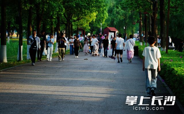 五一前期天气晴好，总体利于出行。均为长沙晚报全媒体记者 舒元臻摄