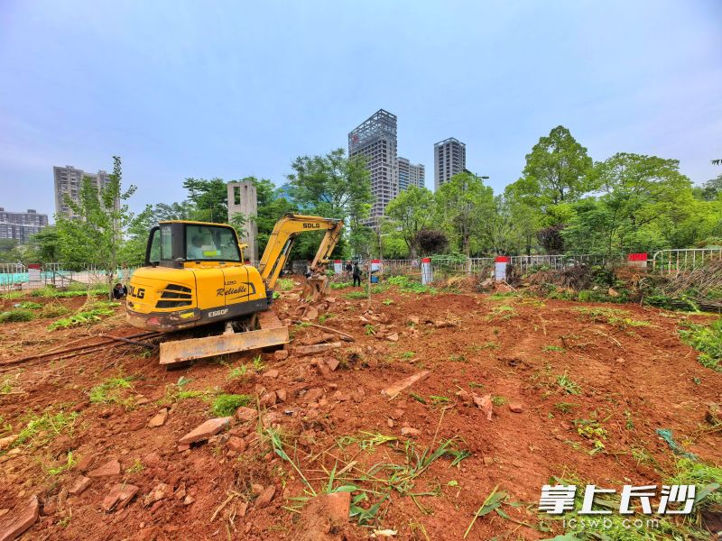经过15天的集中整治，这片曾经的闲置地重焕生机。长沙晚报通讯员 栗稳 摄