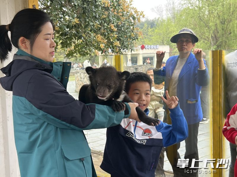 小朋友与小黑熊亲密接触。