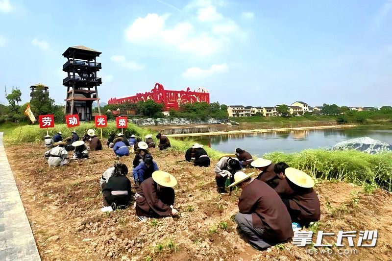只要在景区完成“劳动”任务，就可以免费游览景区。均为通讯员供图