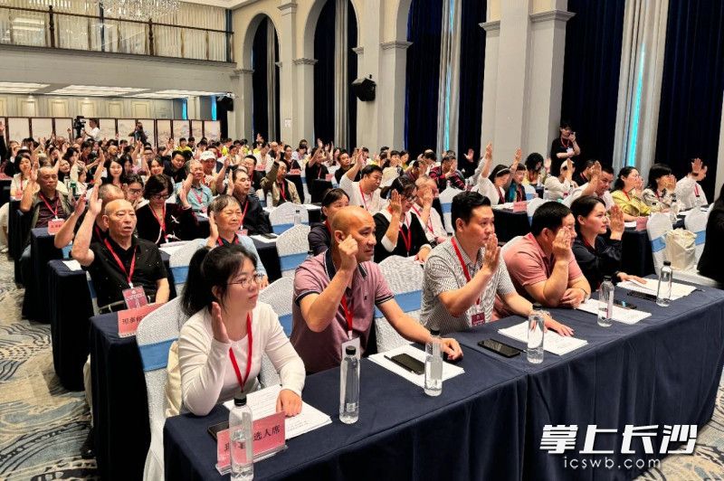 参会会员举手表决。均为长沙晚报通讯员 刘柯 摄