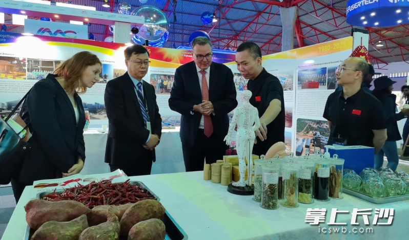 队员们向瑞士驻津大使介绍中医药文化。