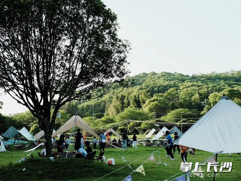 在青山绿草中露营。