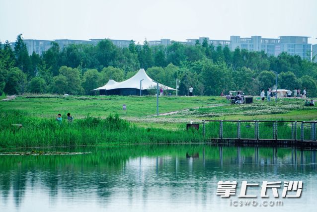 五一期间湖南天气总体适宜出行。均为长沙晚报全媒体记者 舒元臻摄