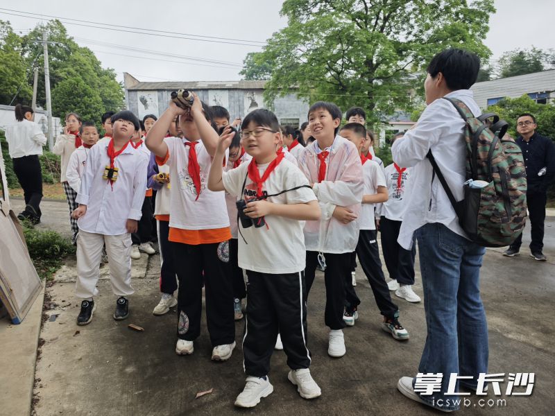 学生观鸟实践课。均为长沙晚报通讯员 黄慧瑜 摄