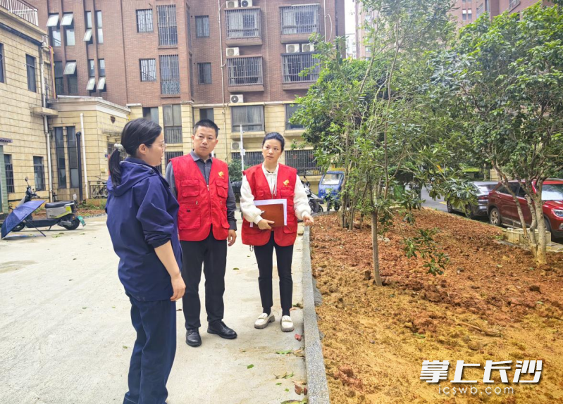监督小组全程嵌入微改造各环节，从方案设计、材料验收到进度把控、资金审核。
